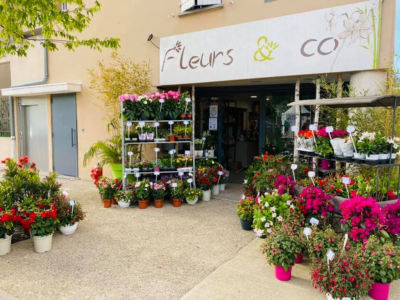 Fleurs and co