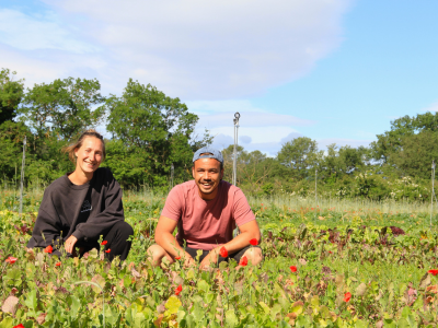 la ferme de pépé